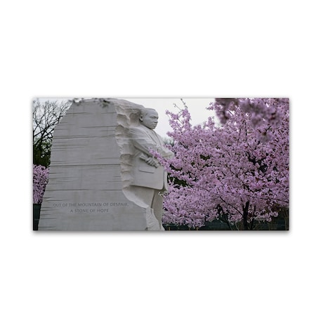 CATeyes 'Cherry Blossoms 2014-5' Canvas Art,12x24